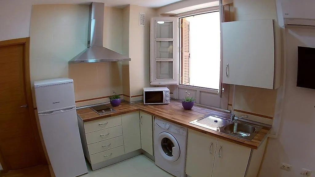 Mitjana Plaza Apartment Malaga Spain